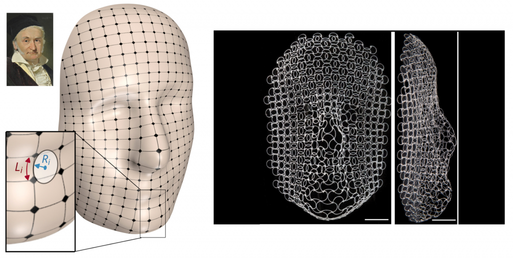 Portrait, 3D model and subsequent lattice design of the face of Carl Friedrich Gauss used for experimental purposes in the recent Harvard study. Image via Harvard University