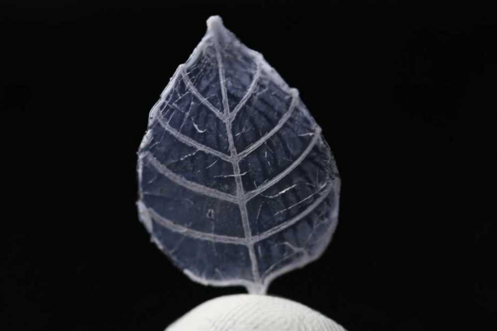 A 3D printed glass leaf. Photo via ETH Zürich.