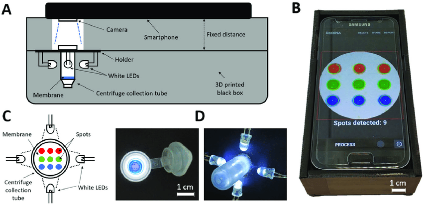 A) Lateral schematic view and B) photograph of the complete setup composed of the 3D printed accessory, the illuminated centrifuge collection tube and the smartphone. C) Top schematic view and D) photographs of the centrifuge collection tube with the white LEDs. Image via Pablo Escobedo.