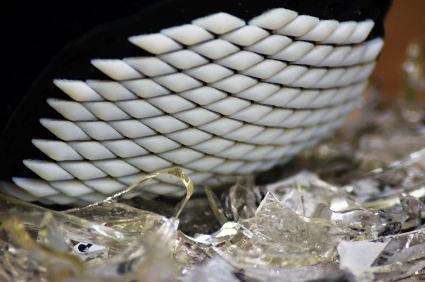The 3D printed flexible armour inspired by the chiton mollusc on broken glass. Photo via Virginia Tech.
