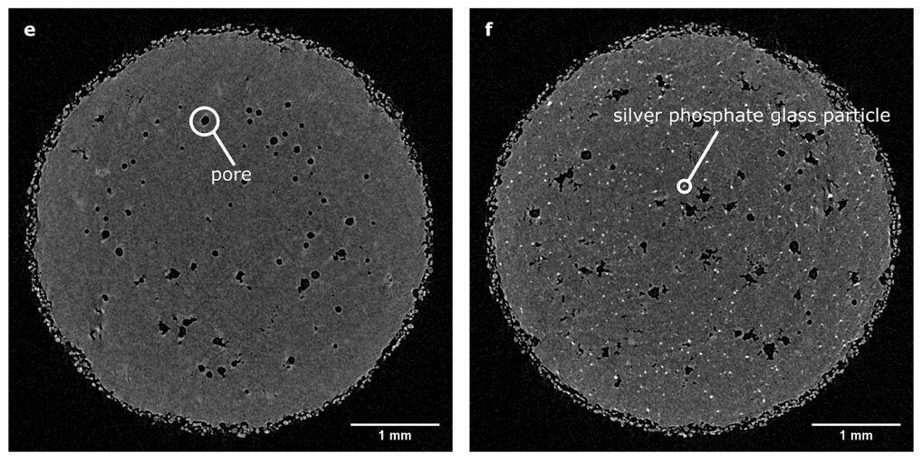 (e) X-Ray micro tomography section of base material (PA2200), showing pores. (f) X-Ray micro tomography section of the composite showing even distribution of silver phosphate glass particles. Image via the University of Sheffield..