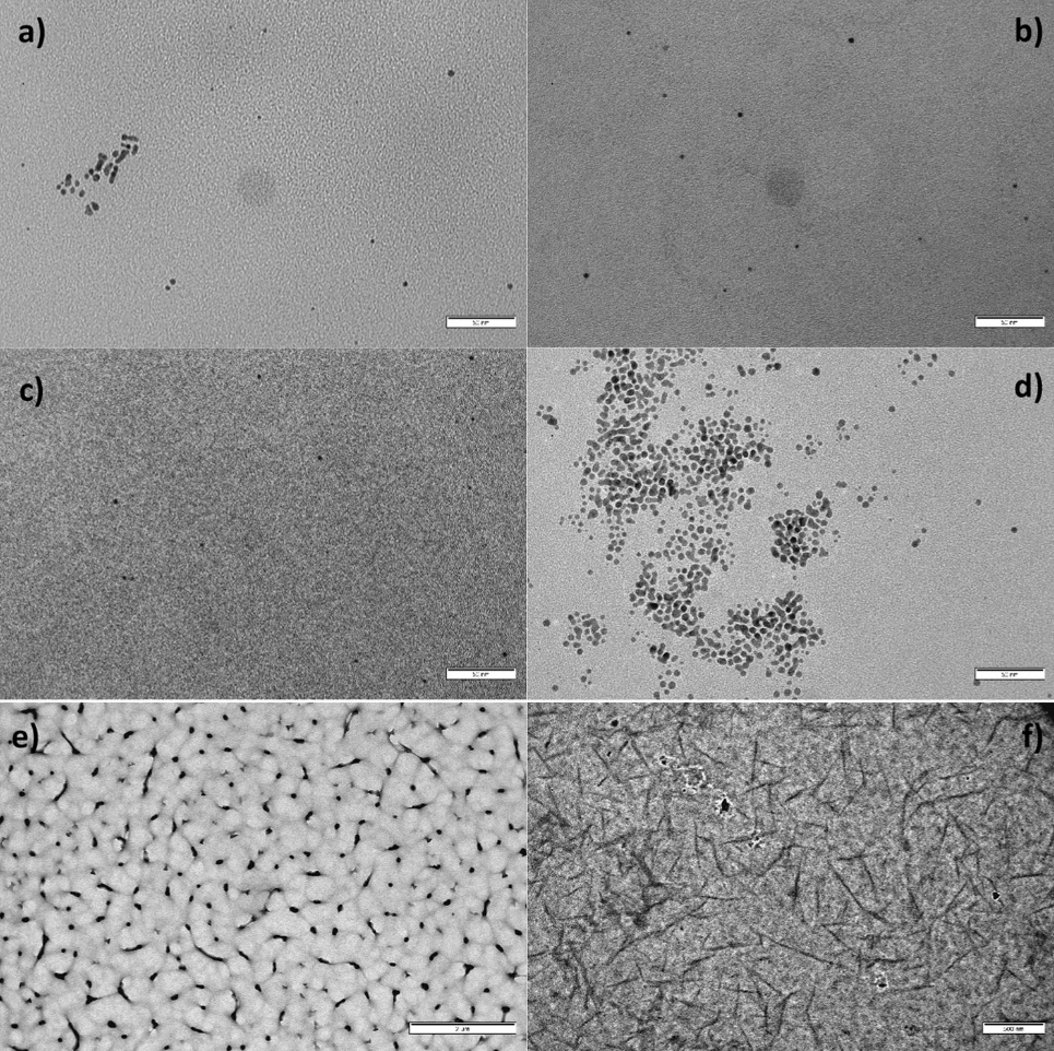 (a, b, c,) polymer-free nanoparticles, (d) The former showing spherical, non-aggregated nanoparticles and the latter showing aggregate morphology and multi-twinned particle formation. Scale bar corresponds to 50 nm in all cases. (e) polymer structures found upon deposition of the synthesis onto the TEM grids. Image via the university of Seville.