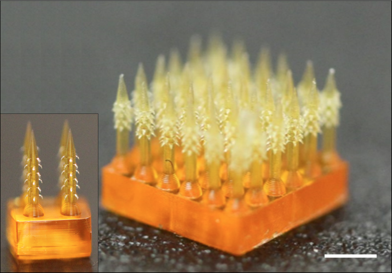 4D printed microneedles featuring backward-facing barbs that interlock with tissue when inserted, enhancing adhesion. Photo via Rutgers University. 