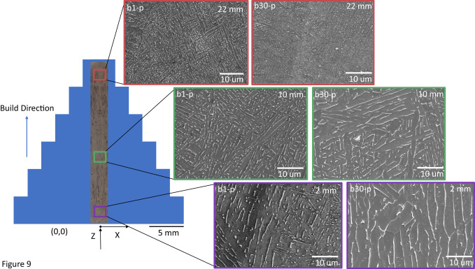 Grain microstructure of the pyramid specimen, by height and build cycle. Image via University of Washington.