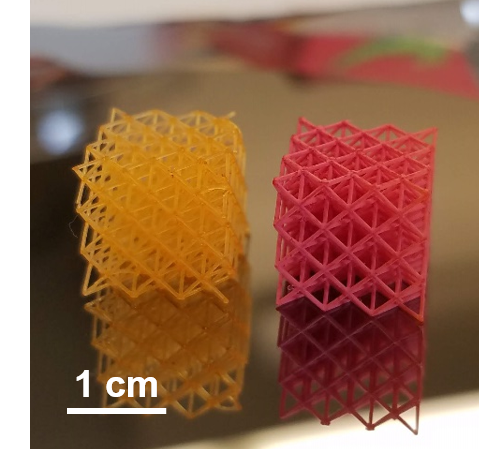 A hydrogel lattice without (left) and with (right) coating. Photo via Jonathan P. Singer/Rutgers University–New Brunswick..
