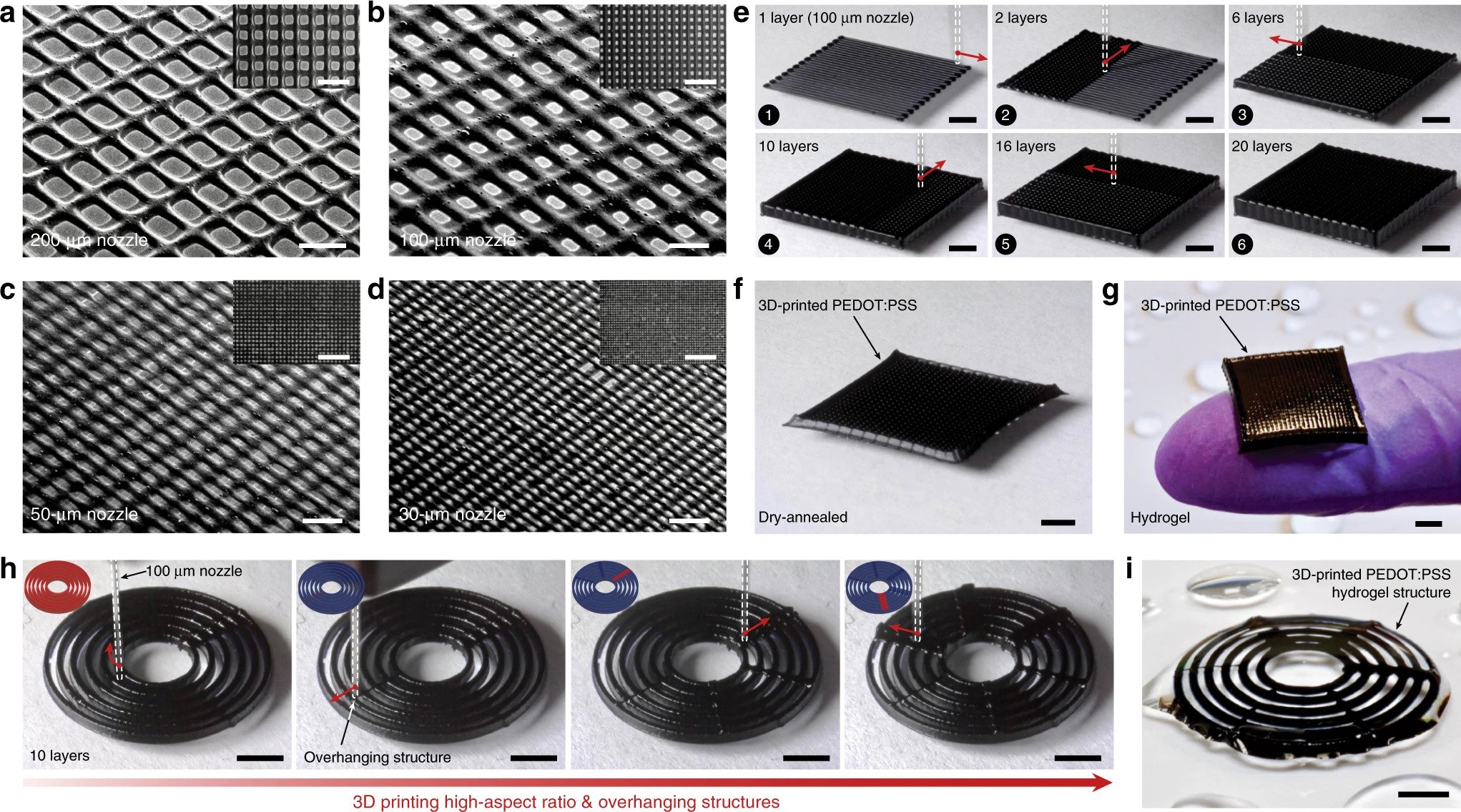 SEM images of 3D-printed conducting polymer meshes by 200-µm. Image via Nature Communications.