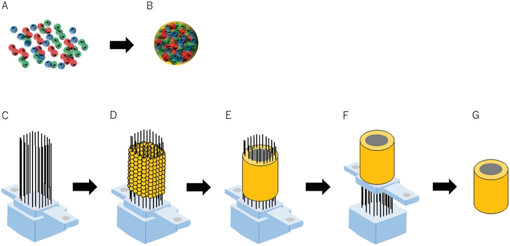 A tubular cell structure being 3D printed with the Kenzan method. Image via Saga University.