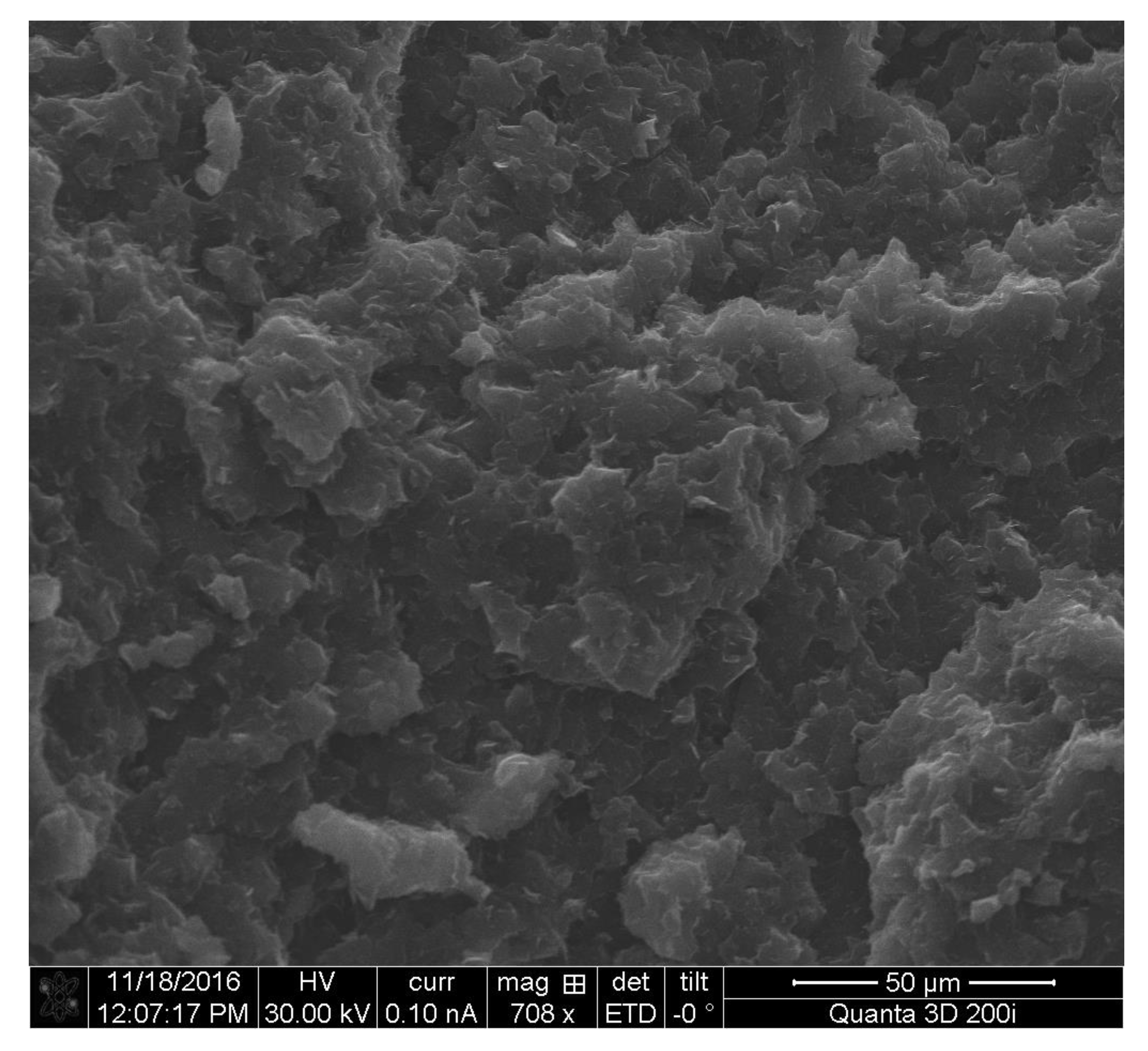 Virgin PETG with expanded graphite additives (SEM imagery). Image via Slovak Academy of Sciences.