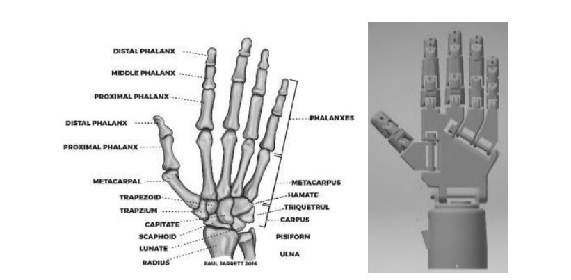 Comparison between real model (left) & Developed in this work (right). Image via International Journal of Advanced Engineering Research and Science.