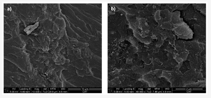 SEM imaging of composites with 0.1% CNT content. Image via RJCU.