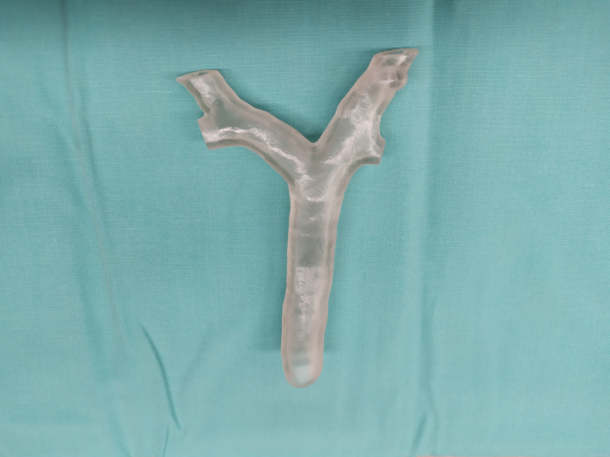 The 3D printed airway model. Photo via Dr Ruth Shaylor.