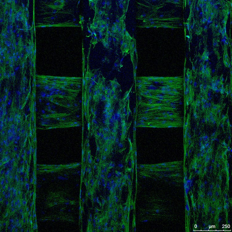 A bone brick under Electron Microscopy scanning. Photo via Paolo Bartolo.