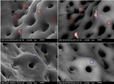The porous structure of the Ti64 implant. Image via Delft University of Technology.