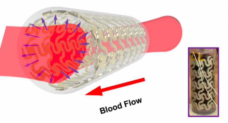 Wisconsin Madison Scientists 3d Print Arteries To Enable Real Time