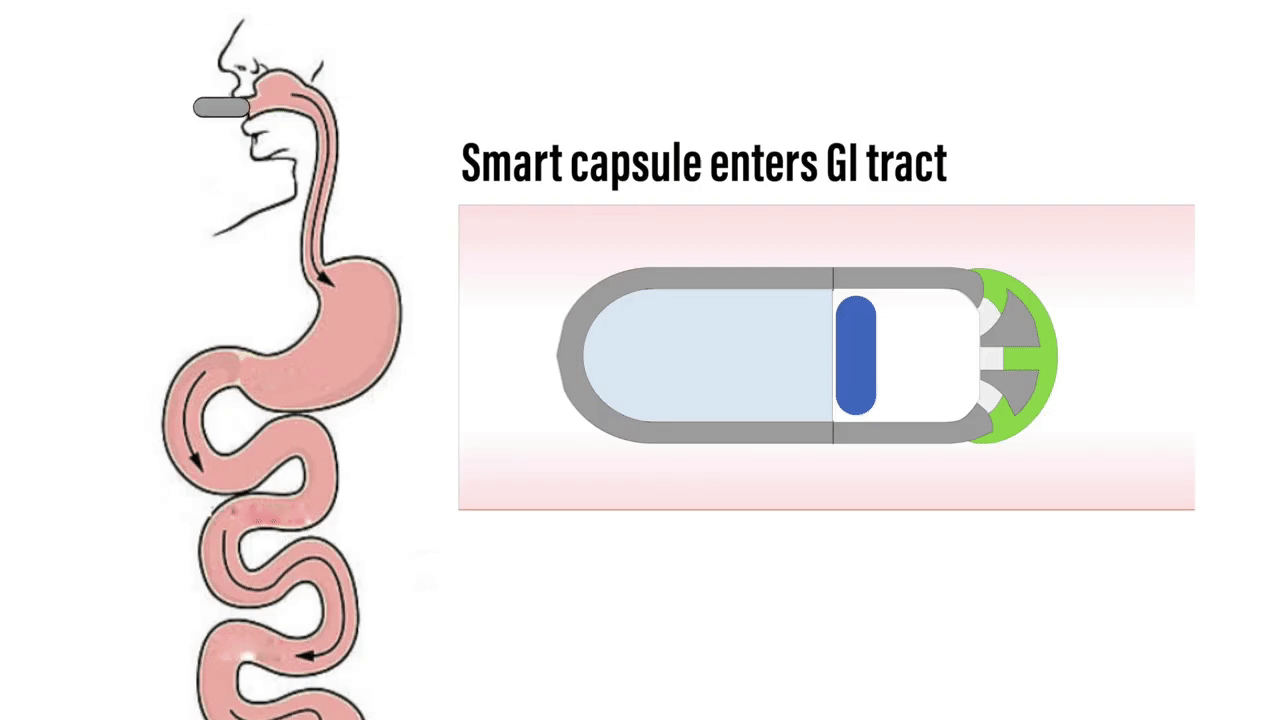 The Purdue researchers' capsule was designed to provide a less invasive method of monitoring intestinal diseases. GIF via Purdue University, Kapwing.