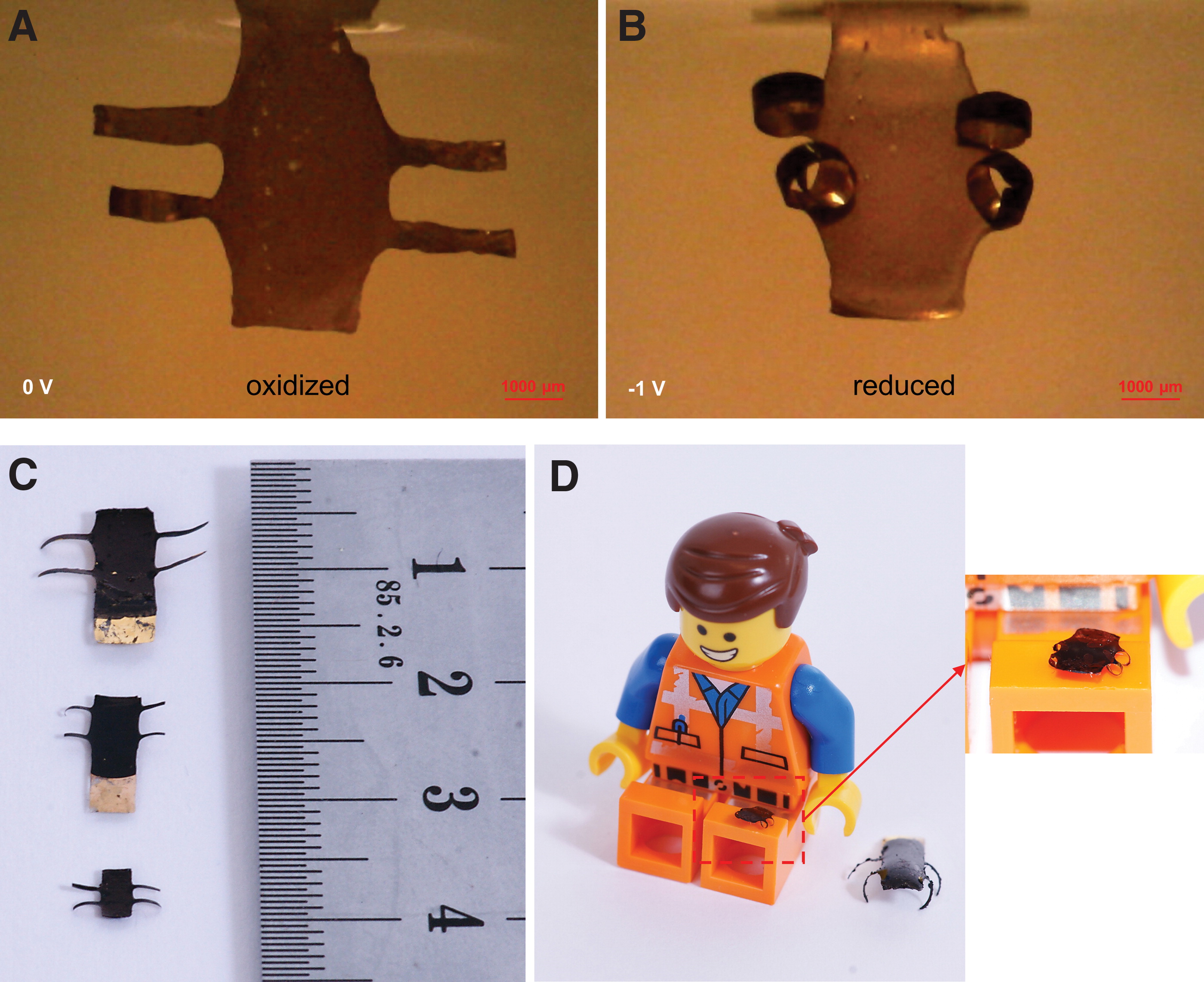 The smallest 4D printed micro-robots. Photos via Linköping University.