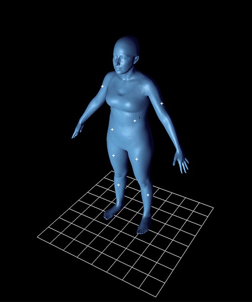 Modèle paramétrique de Texel du corps humain, avatar numérique 3D.  Image via Texel.
