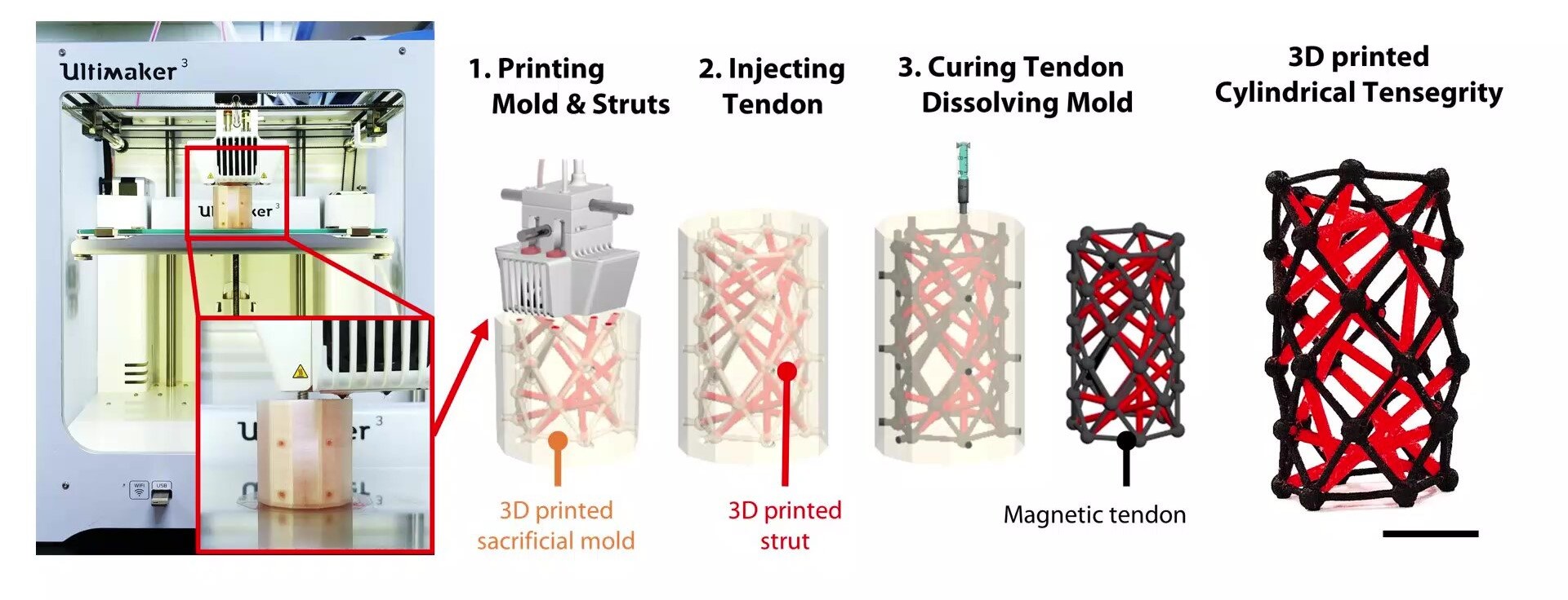 The 3D printing and sacrificial molding process. Image via UNIST.