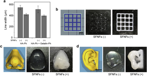 Although the Osaka team managed to 3D print an ear-shaped structure during testing, it didn't have the same level of complexity as their additive 'nose.' Photo via the Materials Today Biojournal.