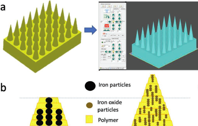 The joint research team's bio-inspired needles were constructed using iron-infused polymers. Image via the Advanced Functional Materials journal.