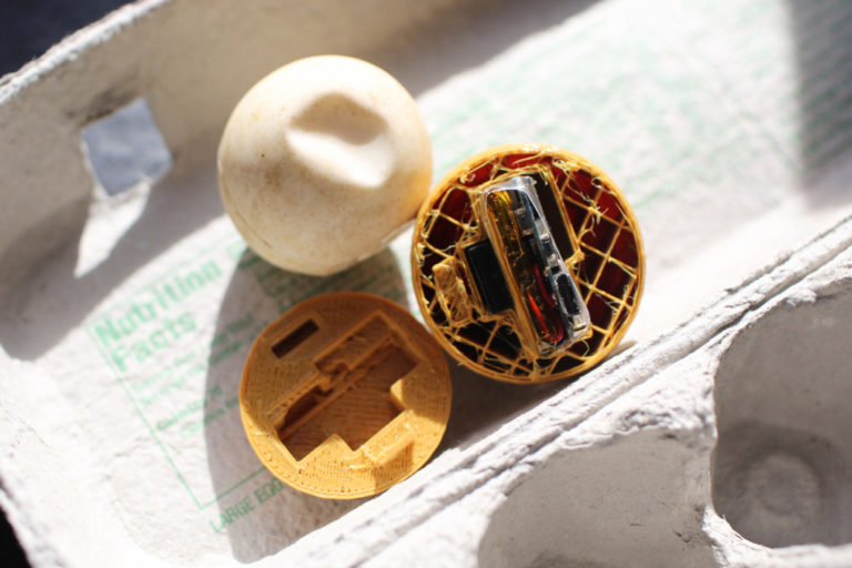 Featured image shows one of the research team's 3D printed turtle eggs. Photo via Paso Pacifico.