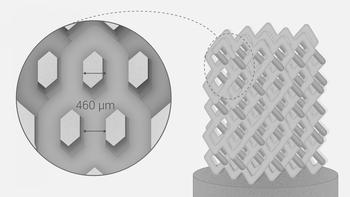 The teams' implants featured a porous structure that could be adjusted depending on the needs of individual patients. Image via Pavel Odinev, Skoltech.