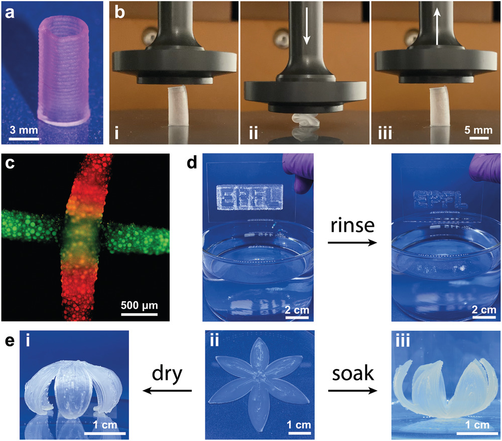 3D printing and testing of the DNGHs. Image via Advanced Functional Materials.