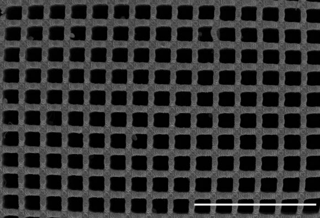 SEM imaging of a 3D printed carbon electrode. Image via Caltech.