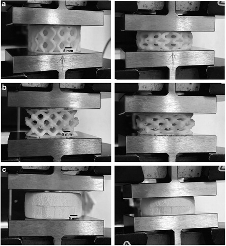 Loading and unloading test performed on (a) the support-free lattice structure, (b) BCC lattice structure, and (c) EVA foam material. Image via 3D Printing and Additive Manufacturing/Mary Ann Liebert.