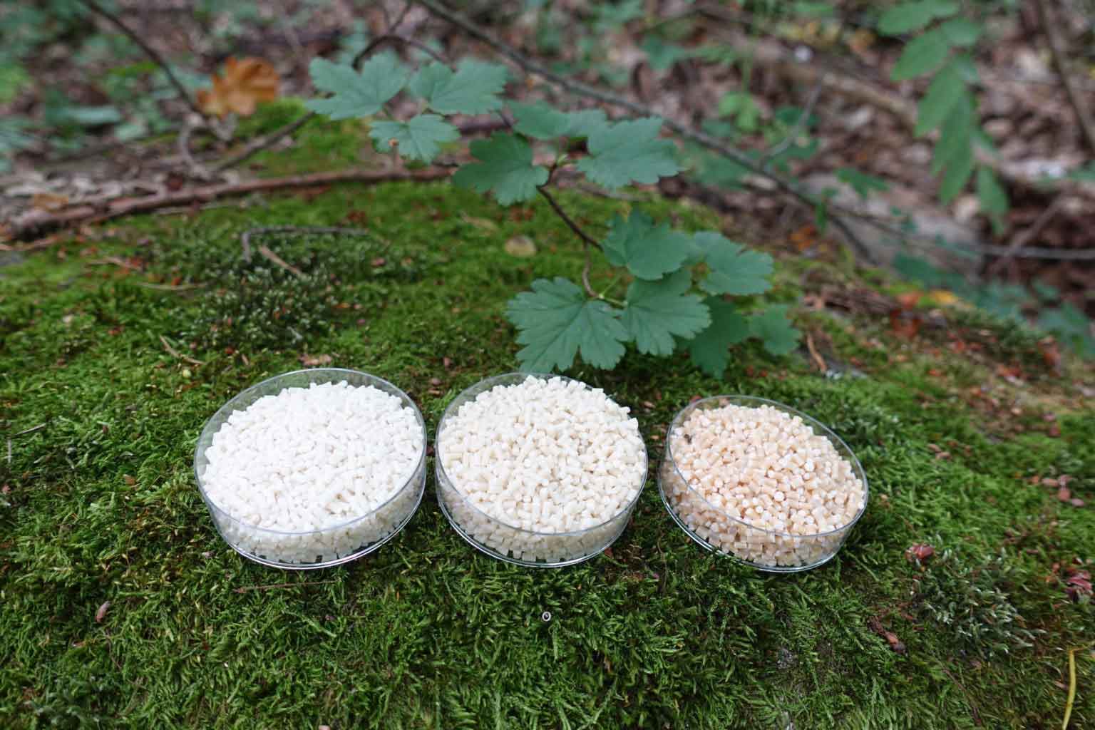 Cellulose-based material granules for 3D printing developed in the NOVUM project.