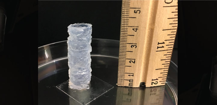 The newly developed bioprinting technique has the potential to revolutionize tissue engineering and regenerative medicine. Photo via KAUST.