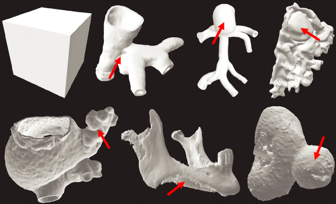 The research team 3D printed seven distinct models for the comprehensive study. Image via University of Cincinnati.