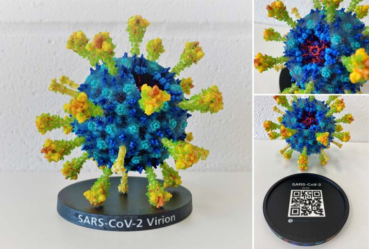 SARS-CoV-2 Virion model printed on the Mimaki 3DUJ-553 full color 3D printer. Image via Biologic Models.