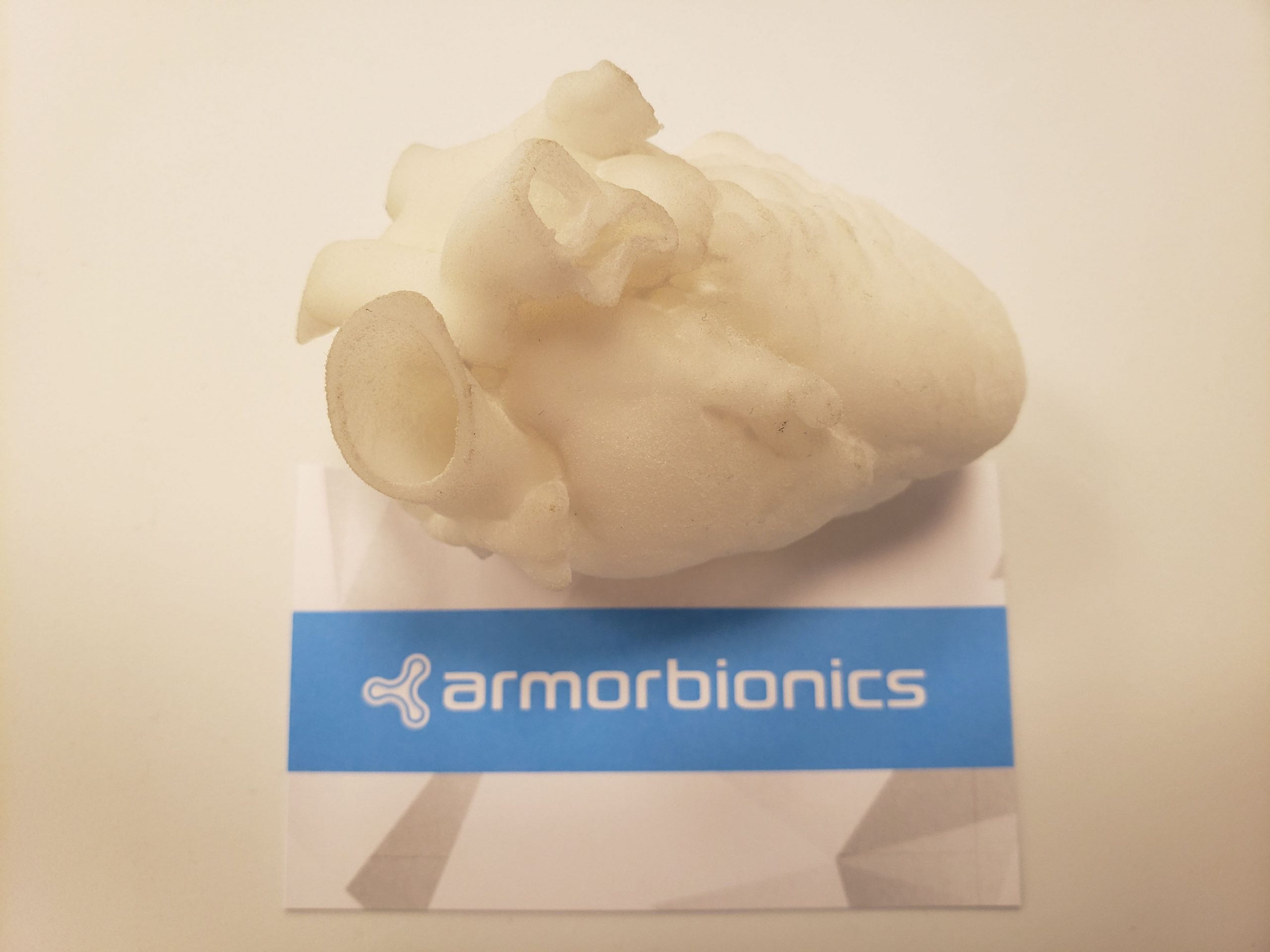 3D printed cardiac model. Photo via Armor Bionics.