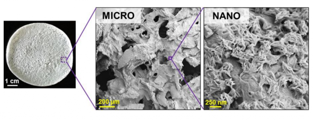 Un exemple représentatif d'une petite feuille de Tissue PaperTM dérivée de tissu ovarien, mettant en évidence sa micro- et nano-porosité et sa texture uniques.  Image via Dimension Inx.