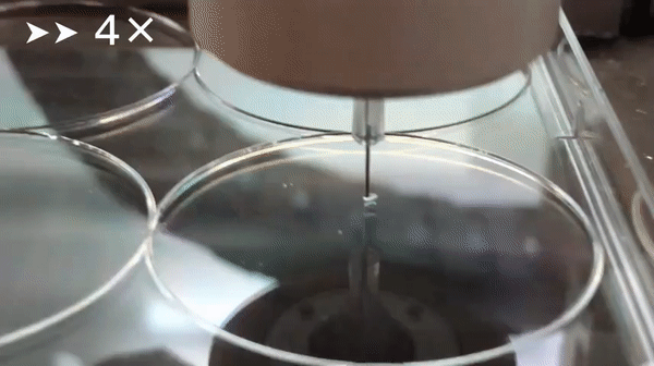 A gif of the researchers' neural tissues being 3D bioprinted. 