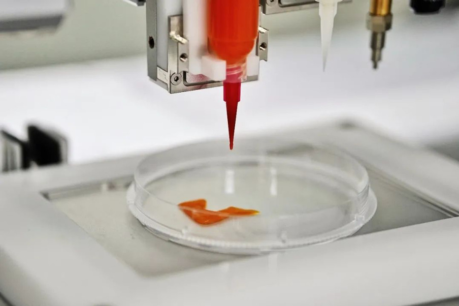 A 3D printed cell-based meat prototype developed by CellX. Photo via CellX.