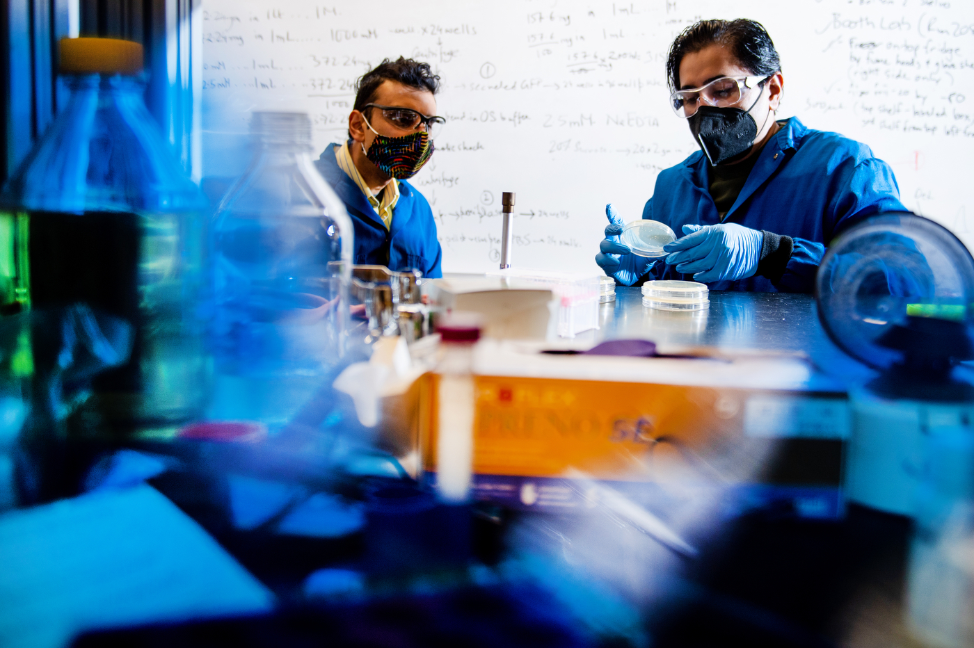 Neel Joshi, associate professor of chemistry and chemical biology, and Avinash Manjula-Basavanna, a postdoctoral researcher, work on programmable microbial ink for 3D printing of living materials, in the Mugar Life Sciences building. Photo by Matthew Modoono/Northeastern University.