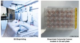 CTIBIOTECH's bioprinting platform develops cost-effective, robust, and reproducible colon cancer models. Image via CTIBIOTECH.