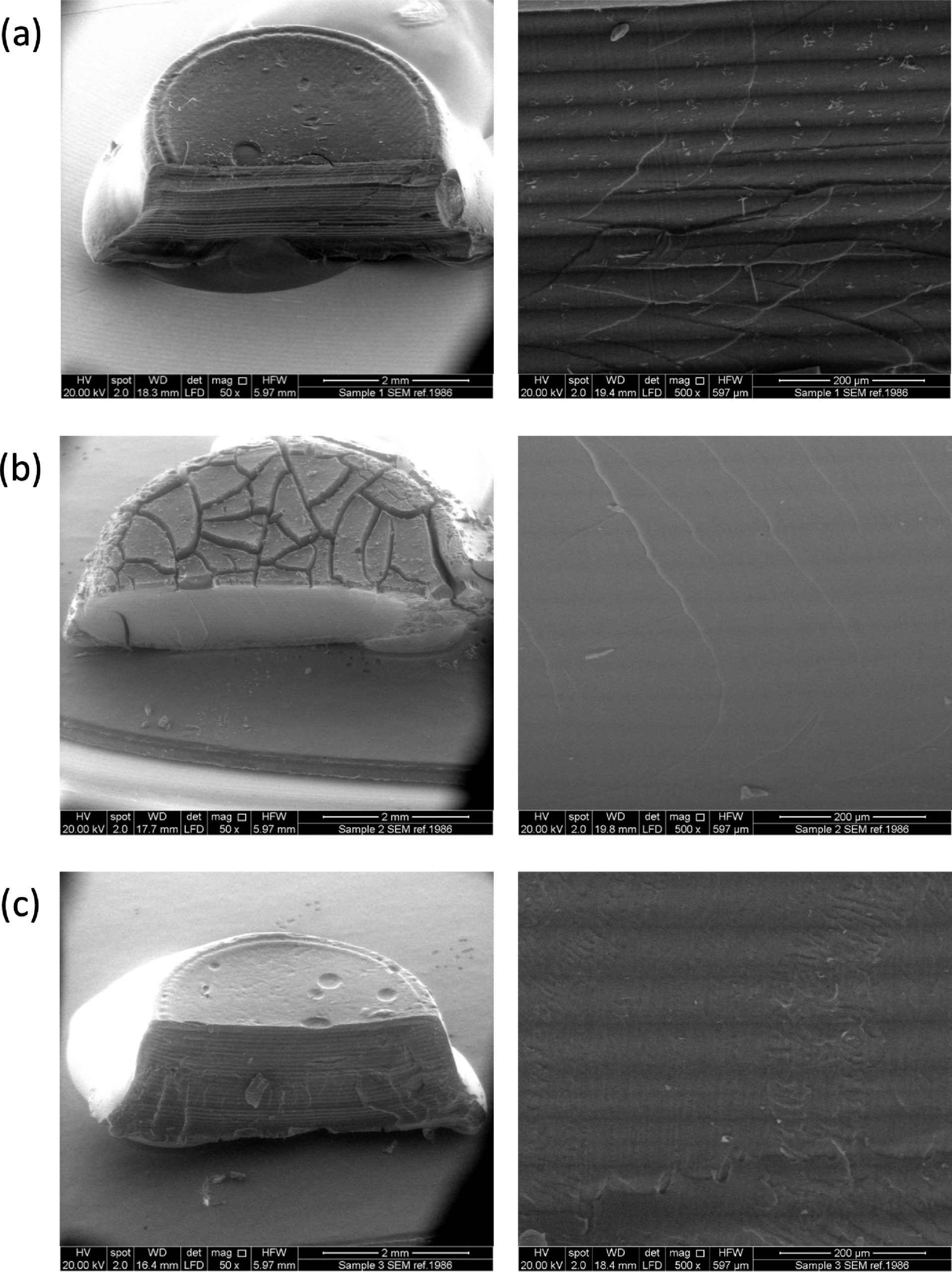 ESEM images of on of the cylinder Printzymes. Image via the Water Research journal.