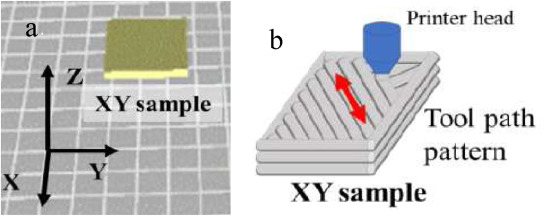 a. Model image in 3D, b. 45-degree print orientation. Image via Polymer Testing.