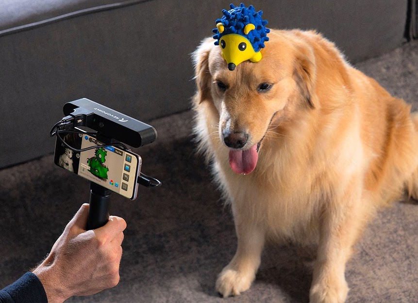 Le POP 2 utilisé pour scanner en 3D un chien avec un jouet sur la tête.