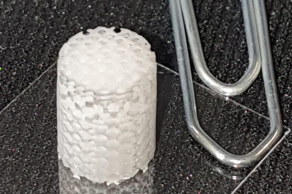 A 1cm tall 3D printed scaffold structure for biomedicine. Photo via Multiphoton Optics.