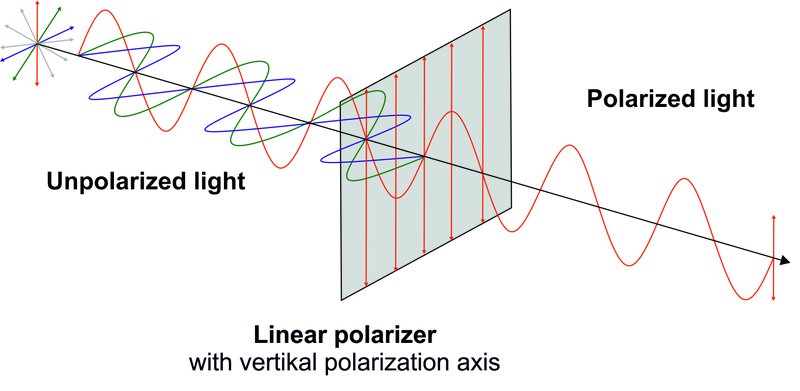 Polarizing filters are designed to transmit light in only one axis. Image via Codixx.
