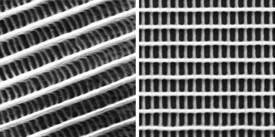 SEM imaging of the two-​layer grid. On the left is a detail of a butterfly wing, and on the right a portion of the 3D printed structure. Image via ETH Zurich.