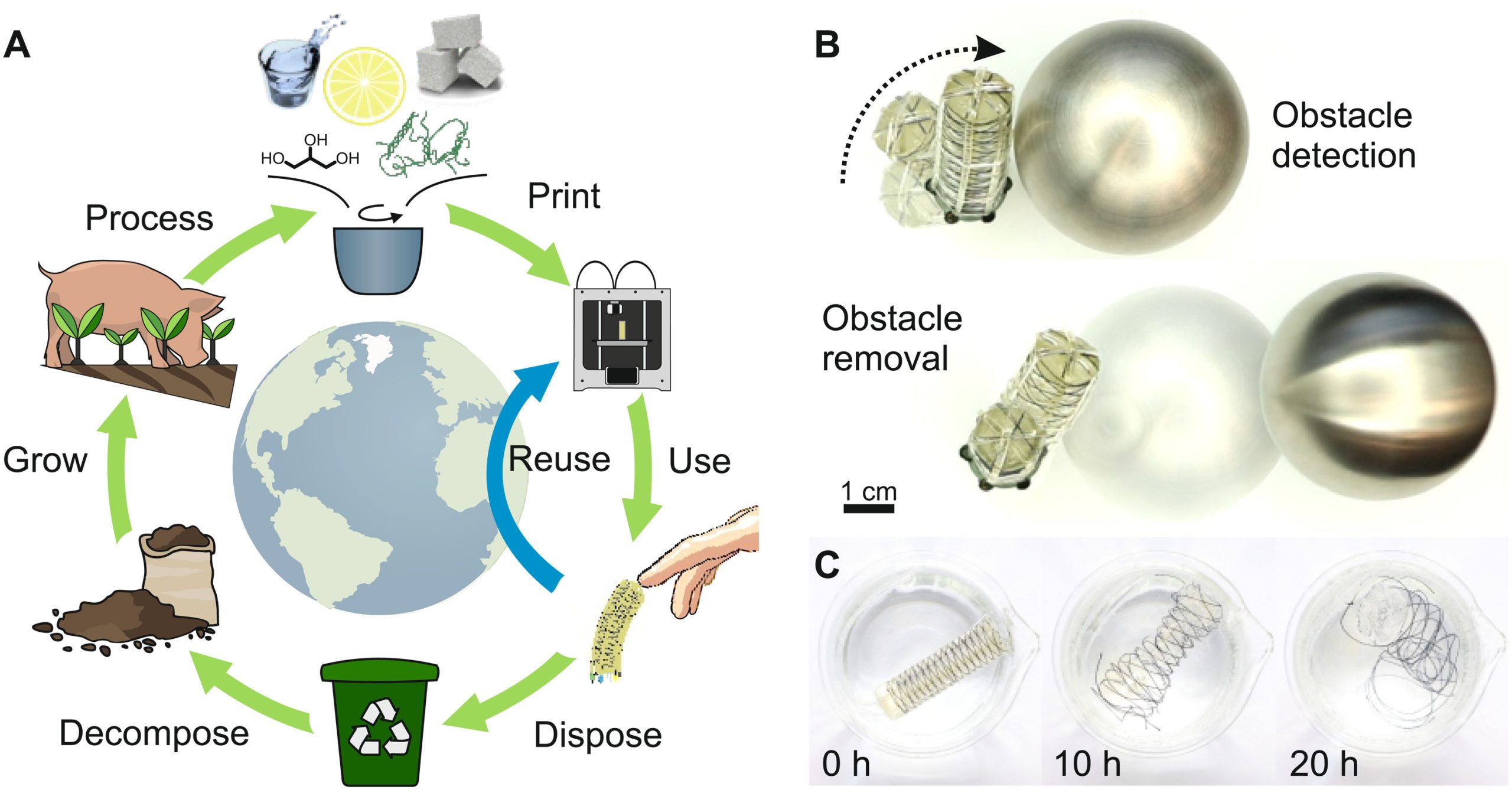 Sustainable 3D-printed soft actuators with integrated waveguide sensors. Image via Johannes Kepler University.