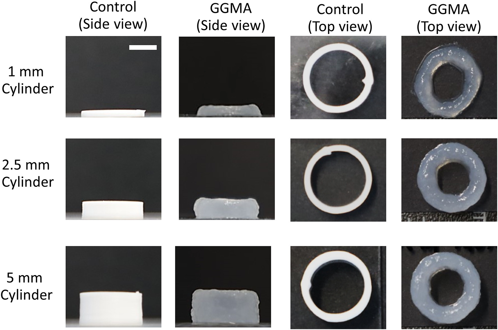 Side-views and top-views of printed cylinders for the evaluation of printing accuracy and structural integrity. Image via Biomaterials.