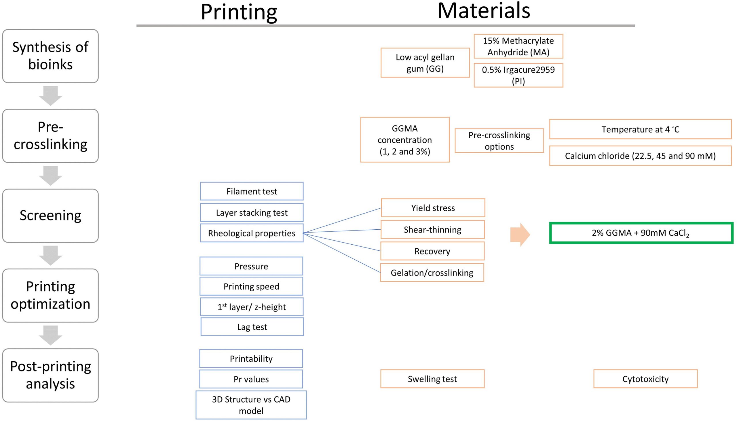 Evaluation of GGMA biomaterial ink and development process. Image via Biomaterials.