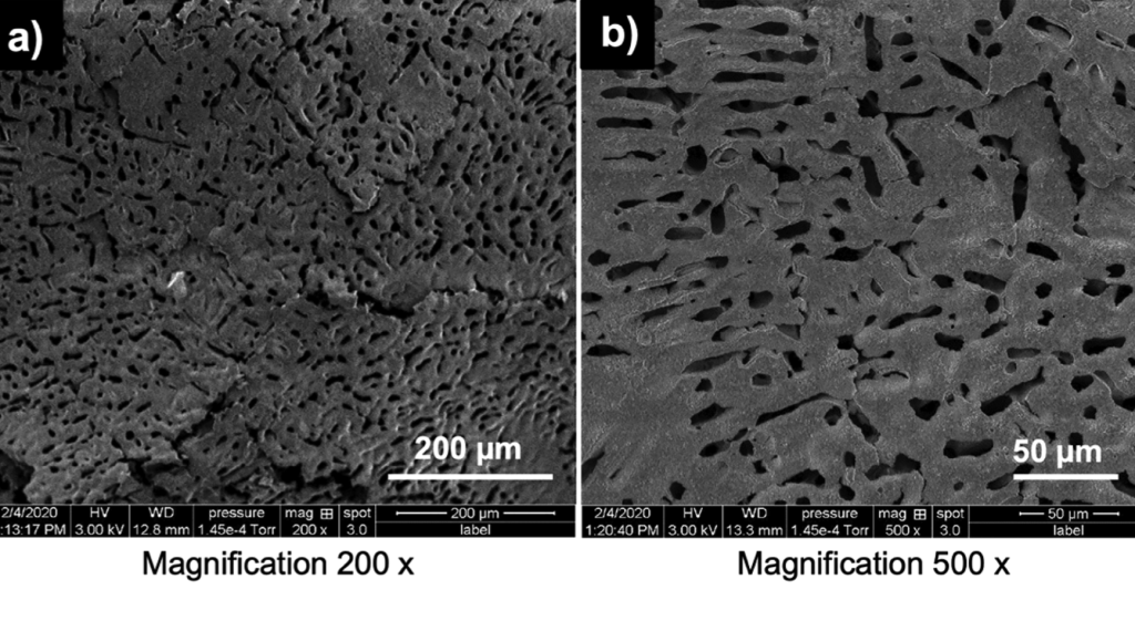 Images SEM des échantillons d'alginate PF127 des chercheurs avec gros plan de la taille des pores.  Image via l'Université Laval.