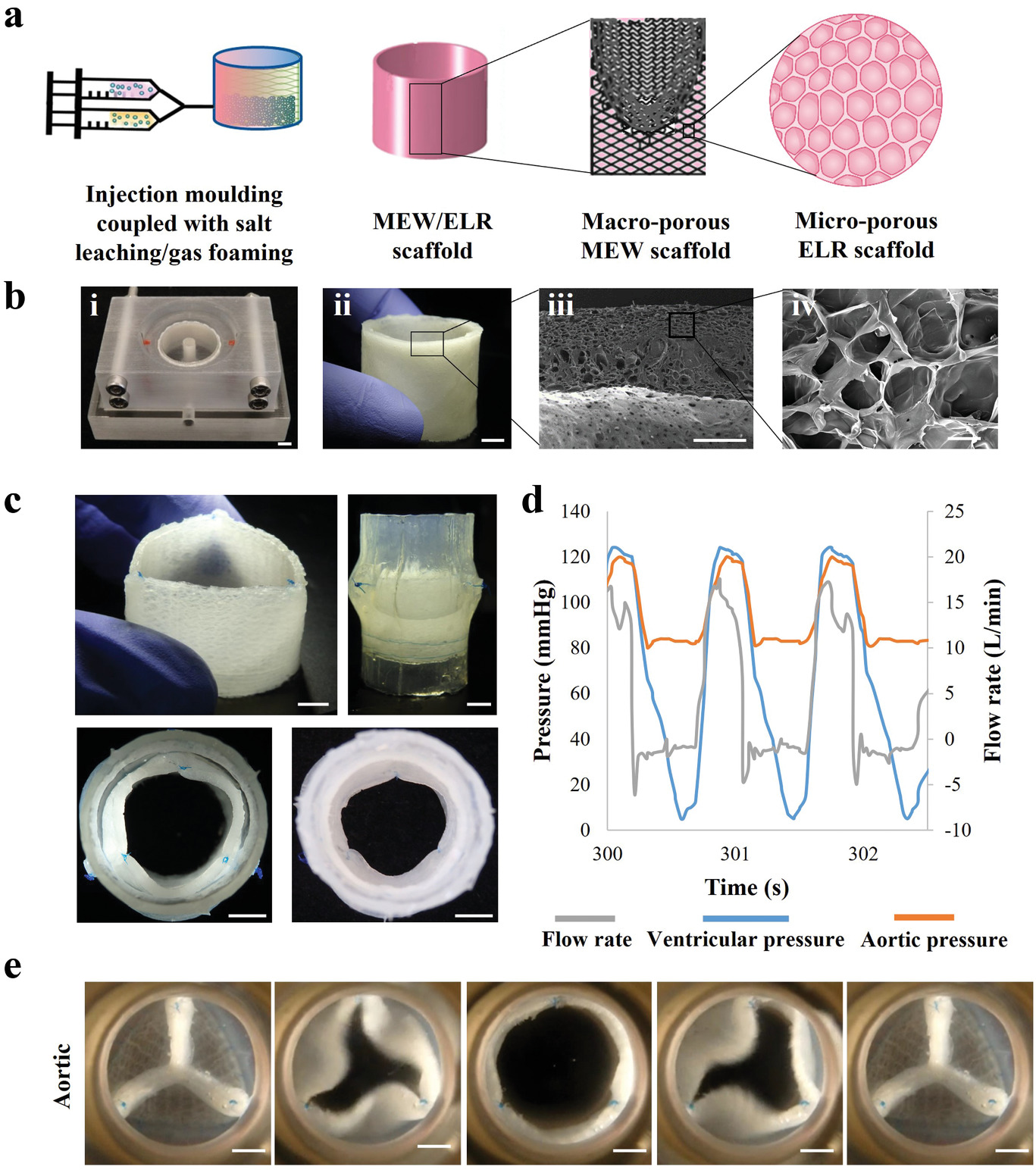 Fabrication des valves cardiaques imprimées en 3D.  Image via des matériaux fonctionnels avancés.